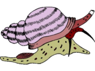 Sticker Custom Preview Image #024061 Animals Insects Snail18