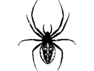 Sticker Custom Preview Image #024064 Animals Insects Spider01