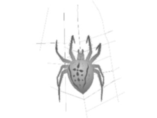 Sticker Custom Preview Image #024066 Animals Insects Spider03
