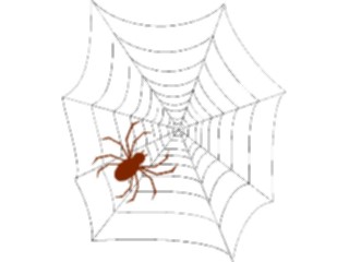 Sticker Custom Preview Image #024067 Animals Insects Spider04