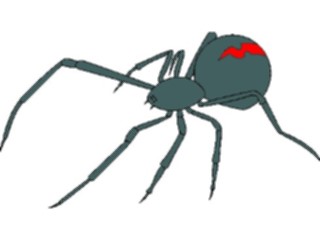 Sticker Custom Preview Image #024068 Animals Insects Spider05