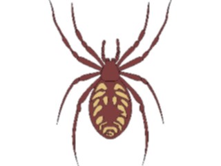 Sticker Custom Preview Image #024070 Animals Insects Spider07