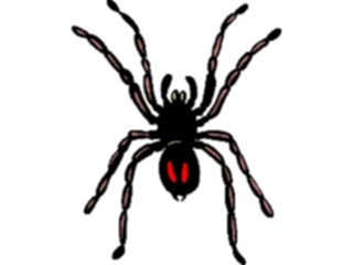 Sticker Custom Preview Image #024071 Animals Insects Spider08