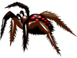 Sticker Custom Preview Image #024096 Animals Insects Tarantula4