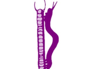 Sticker Custom Preview Image #024108 Animals Insects Worm3