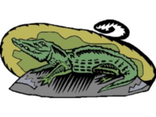 Sticker Custom Preview Image #024119 Animals Land Animals Alligator6