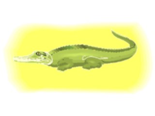 Sticker Custom Preview Image #024120 Animals Land Animals Alligator7