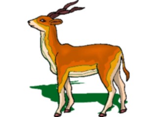 Sticker Custom Preview Image #024155 Animals Land Animals Antelope21