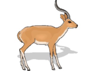 Sticker Custom Preview Image #024173 Animals Land Animals Antelope39