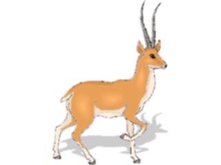 Sticker Custom Preview Image #024178 Animals Land Animals Antelope44