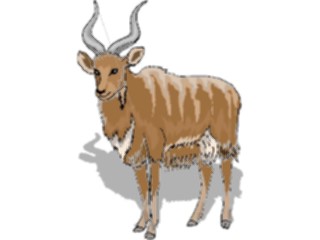 Sticker Custom Preview Image #024182 Animals Land Animals Antelope48