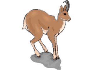 Sticker Custom Preview Image #024185 Animals Land Animals Antelope51