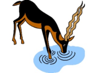 Sticker Custom Preview Image #024188 Animals Land Animals Antelope Drinking