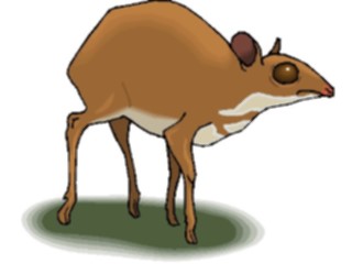 Sticker Custom Preview Image #024189 Animals Land Animals Antelope Dwarf