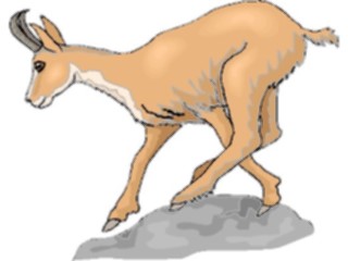 Sticker Custom Preview Image #024192 Animals Land Animals Antelope Pronghorn3