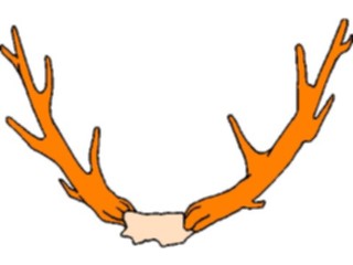 Sticker Custom Preview Image #024195 Animals Land Animals Antlers