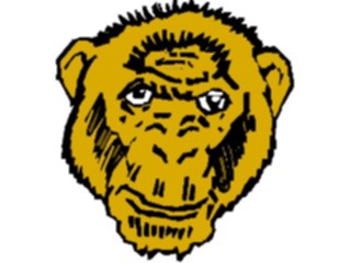 Sticker Custom Preview Image #024196 Animals Land Animals Ape