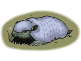 Sticker Custom Preview Image #024199 Animals Land Animals Armadillo3