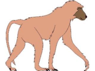 Sticker Custom Preview Image #024202 Animals Land Animals Baboon1