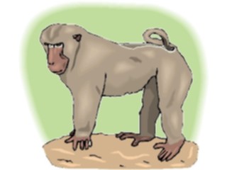 Sticker Custom Preview Image #024204 Animals Land Animals Baboon3
