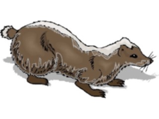 Sticker Custom Preview Image #024207 Animals Land Animals Badger3