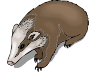Sticker Custom Preview Image #024209 Animals Land Animals Badger5