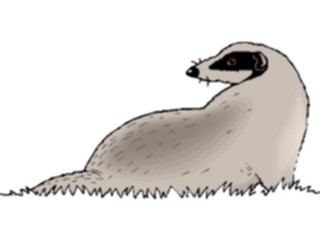 Sticker Custom Preview Image #024210 Animals Land Animals Badger6