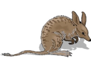 Sticker Custom Preview Image #024212 Animals Land Animals Bandicoot2