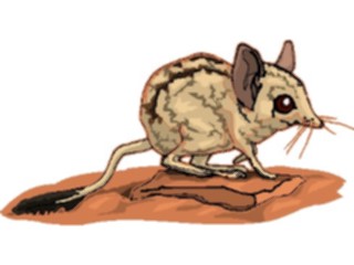 Sticker Custom Preview Image #024215 Animals Land Animals Bandicoot Dwarf1