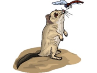 Sticker Custom Preview Image #024216 Animals Land Animals Bandicoot Dwarf2