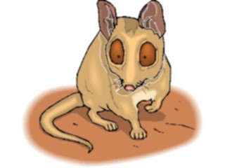 Sticker Custom Preview Image #024217 Animals Land Animals Bandicoot Dwarf3