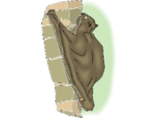 Sticker Custom Preview Image #024232 Animals Land Animals Bat14