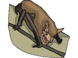 Sticker Custom Preview Image #024233 Animals Land Animals Bat15