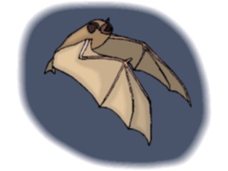 Sticker Custom Preview Image #024234 Animals Land Animals Bat16