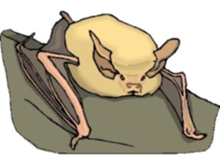 Sticker Custom Preview Image #024236 Animals Land Animals Bat18