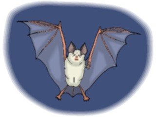 Sticker Custom Preview Image #024237 Animals Land Animals Bat19
