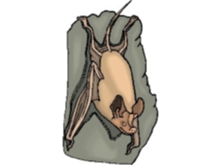 Sticker Custom Preview Image #024238 Animals Land Animals Bat20