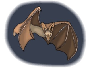 Sticker Custom Preview Image #024239 Animals Land Animals Bat21