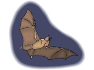 Sticker Custom Preview Image #024240 Animals Land Animals Bat22