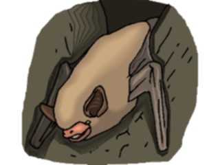 Sticker Custom Preview Image #024241 Animals Land Animals Bat23