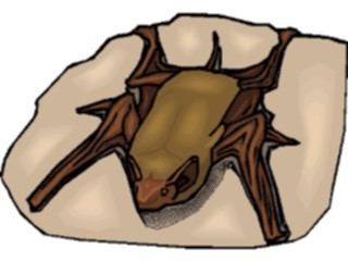 Sticker Custom Preview Image #024242 Animals Land Animals Bat24