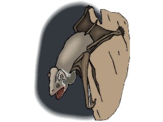 Sticker Custom Preview Image #024243 Animals Land Animals Bat25