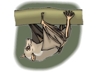 Sticker Custom Preview Image #024244 Animals Land Animals Bat26