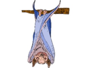 Sticker Custom Preview Image #024246 Animals Land Animals Bat28