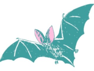 Sticker Custom Preview Image #024247 Animals Land Animals Bat29