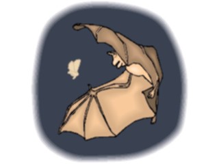 Sticker Custom Preview Image #024248 Animals Land Animals Bat Chasing Moth