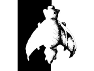 Sticker Custom Preview Image #024249 Animals Land Animals Bat Cutout