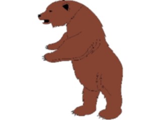 Sticker Custom Preview Image #024252 Animals Land Animals Bear02
