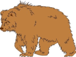 Sticker Custom Preview Image #024257 Animals Land Animals Bear07