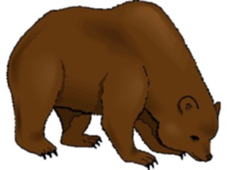 Sticker Custom Preview Image #024266 Animals Land Animals Bear16